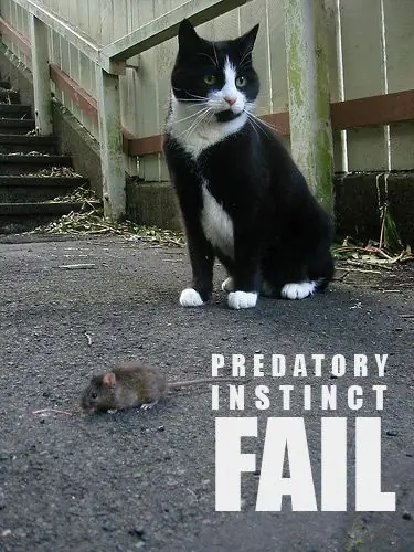fail