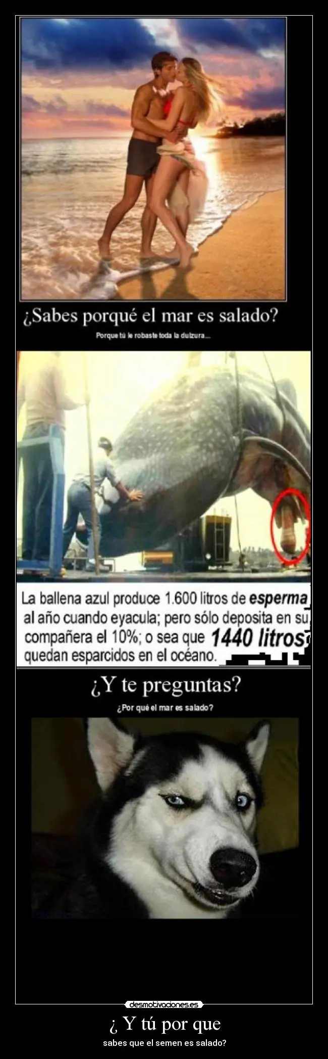 Etc...