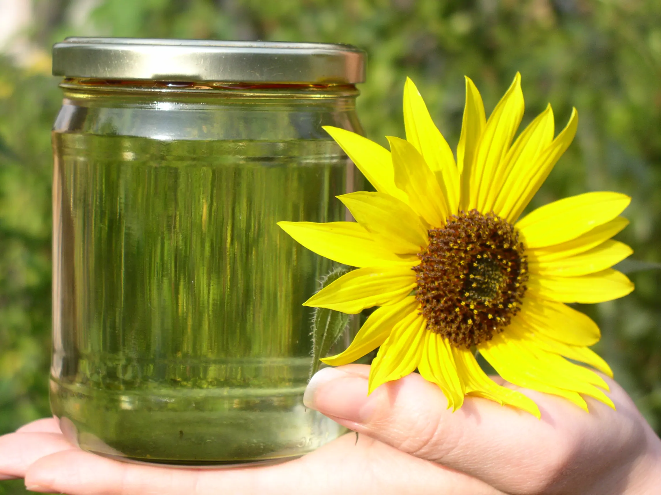 hacer combustible biodiesel