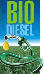 Aprende a Fabricar Tu Propio Biodiesel
