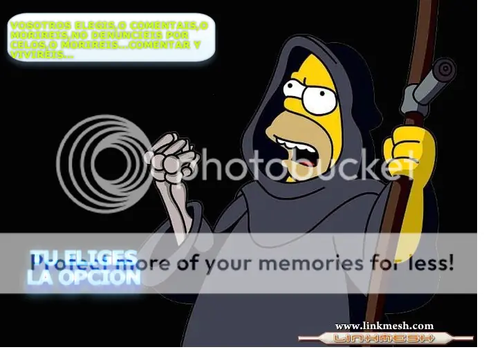 grandes curiosidades en el mundo