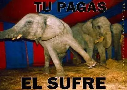No Al Maltrato Animal