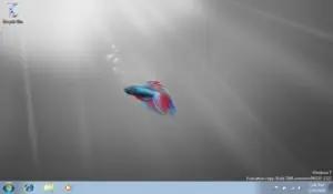 Windows 7 Starter, un Bajon