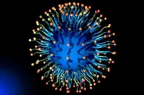 microscopico