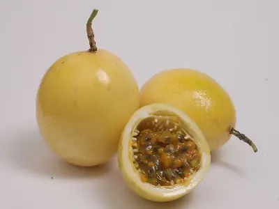 Exóticos frutos conócelos