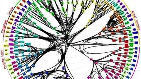 El origen de la consciencia