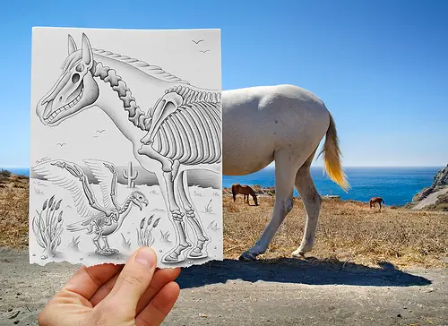 Arte gracioso y muy bueno (imagenes)