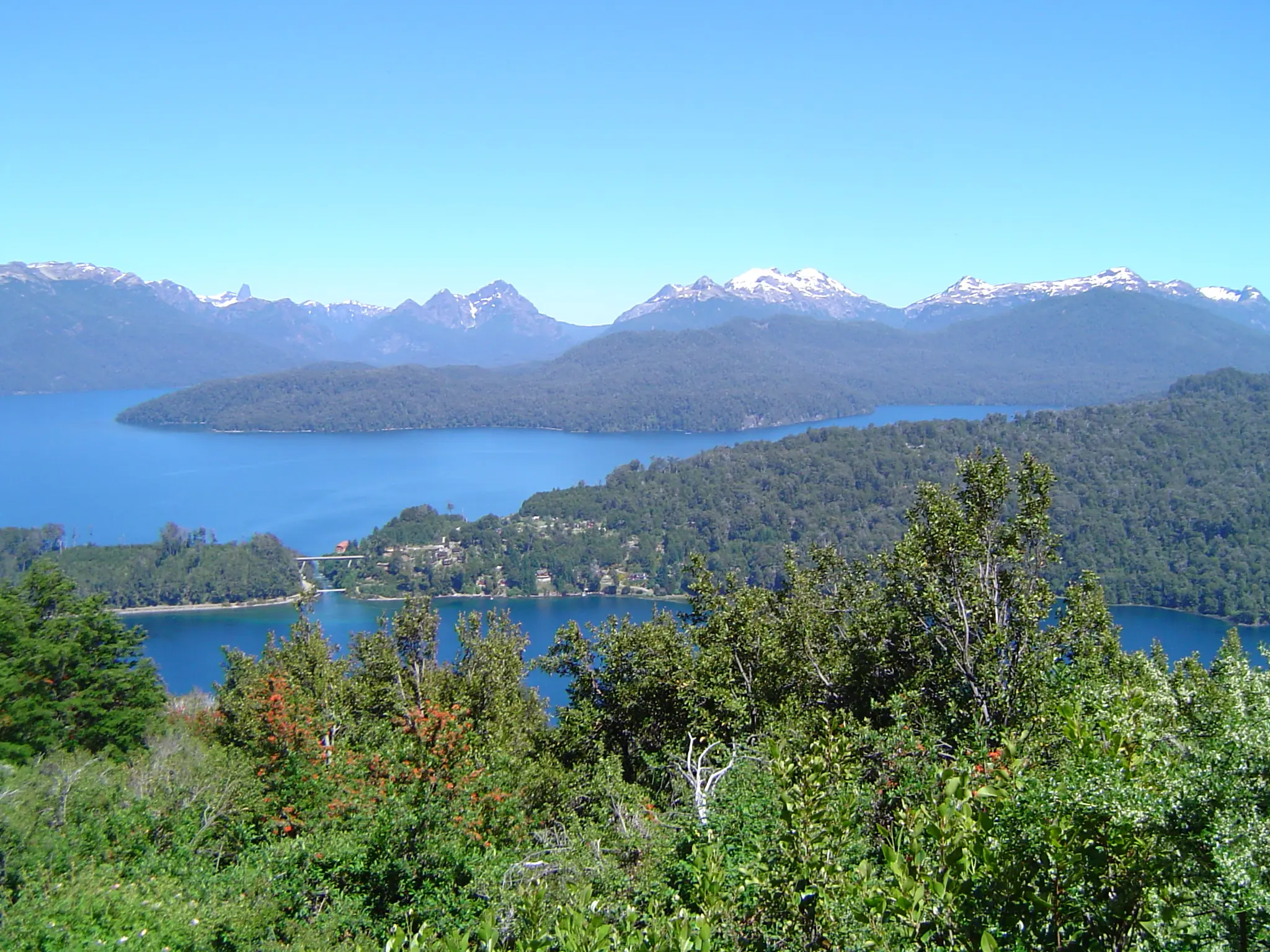 Caza de Jabalíes en la patagonia
