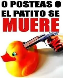 letras