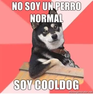Memes para reirte parte 1[CoolDog y Fuuuuuu] hechos por mi
