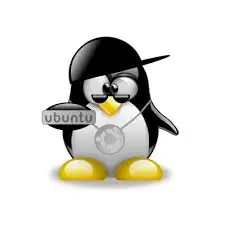 ubuntu navega mas lento que xp