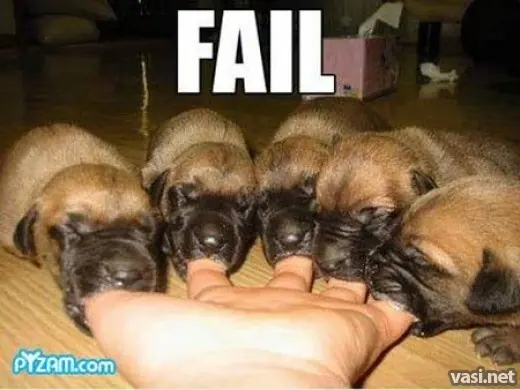 fail