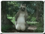 Aburrido?Lo has visto todo? Diversión con el post del WTF 0