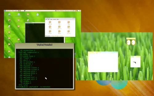 Wayland en los repositorios de Ubuntu 11.04.