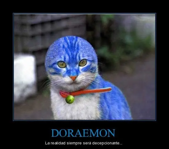 Imagenes Graciosas y alguna What The Fuck! XVIII