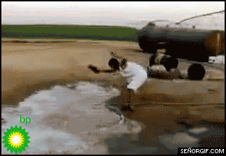 gifs graciosos