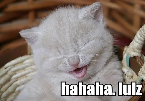 Imagenes Graciosas 2011 part 2