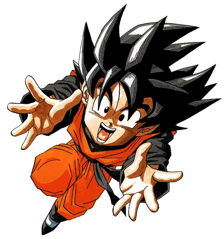 Algunos significados de nombres de dragon ball