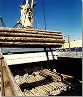 Como se fabrica el papel???