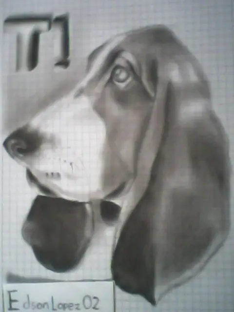 Mis Dibujos a Lapiz Carbon [ Un Perro y Algo Mas ]