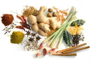 guia de condimentos para cocinar!!!!