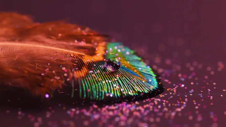 Top Wallpapers HD Los mejores Sin descargaa!
