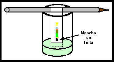 Experimentos de ciencias para niños