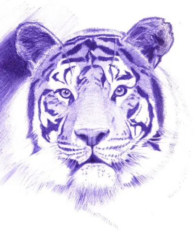 Otro dibujo a birome