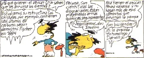 bachillerato