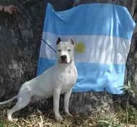 argentina