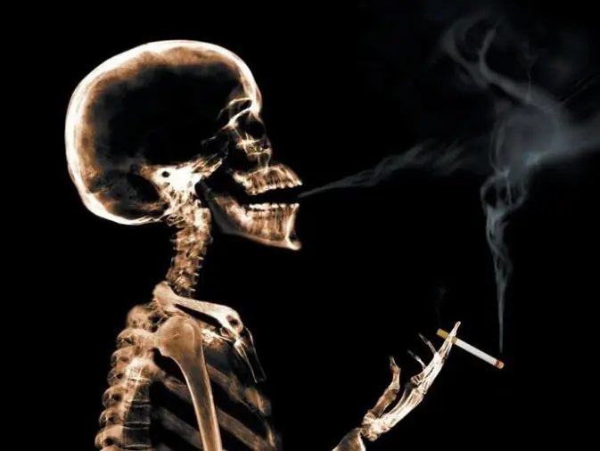 Qué alimentos comer para dejar de fumar