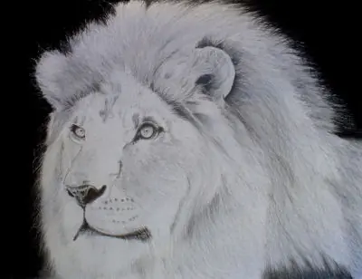 Sale un león...