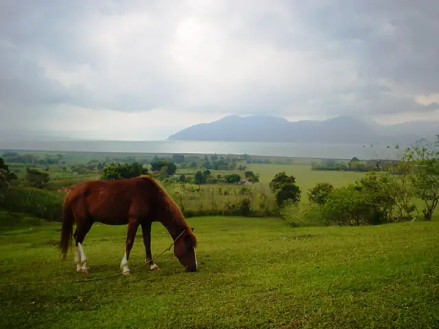Juntada Nacional Honduras