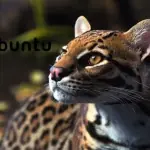 Ubuntu 11.10 (Oneiric Ocelot) Alpha 1