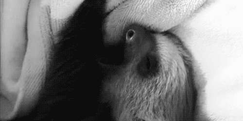 la