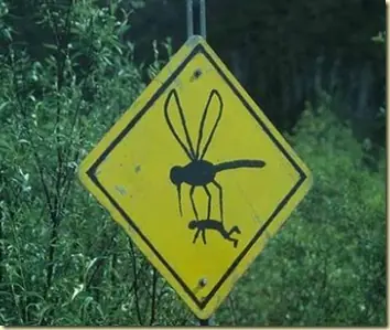 Raid: Mata Mosquitos o Mata Humanos?