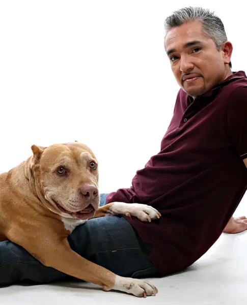 Perros Pitbulls mal vistos en todo el mundo.