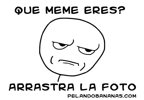 ¿Que meme sos?