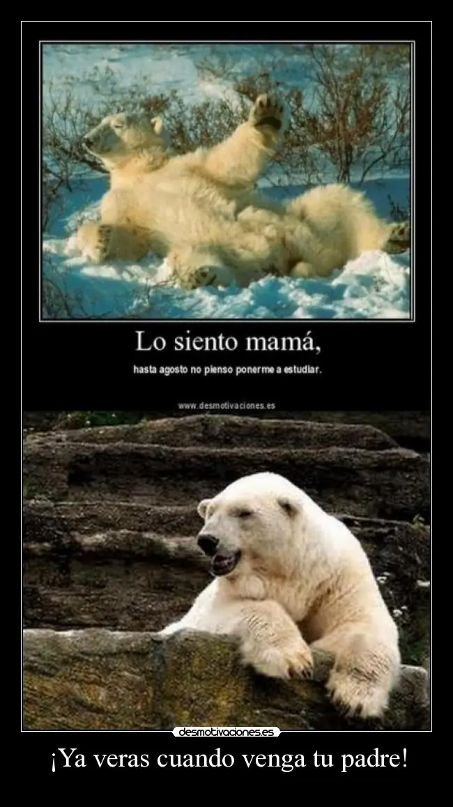 risas