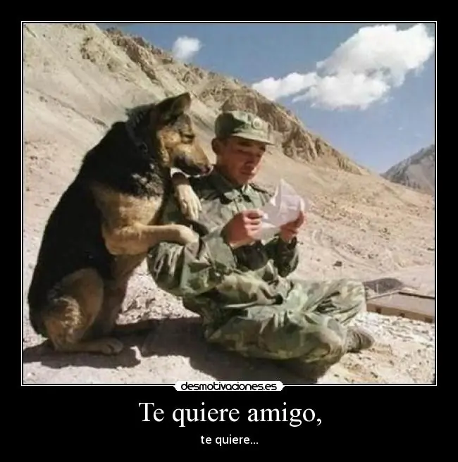 desmotivaciones.es