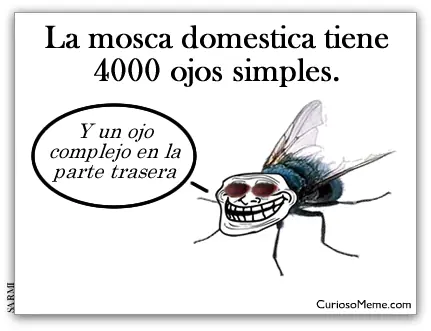 Otro post de memes