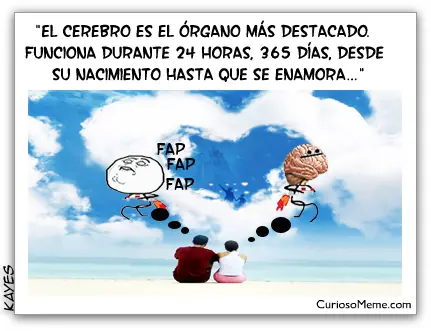 Memes con curiosidades