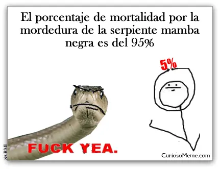 memes