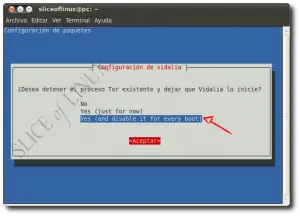 Instalar Tor En Backtrack5 y Ubuntu10.04 y Usarlo con Chrome