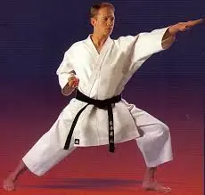 La mejor lista de Artes Marciales del Mundo