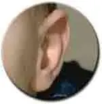 El zumbido fantasma (taos)