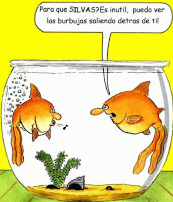 grafico humor