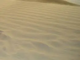 Crea tu propia varita de Harry Potter