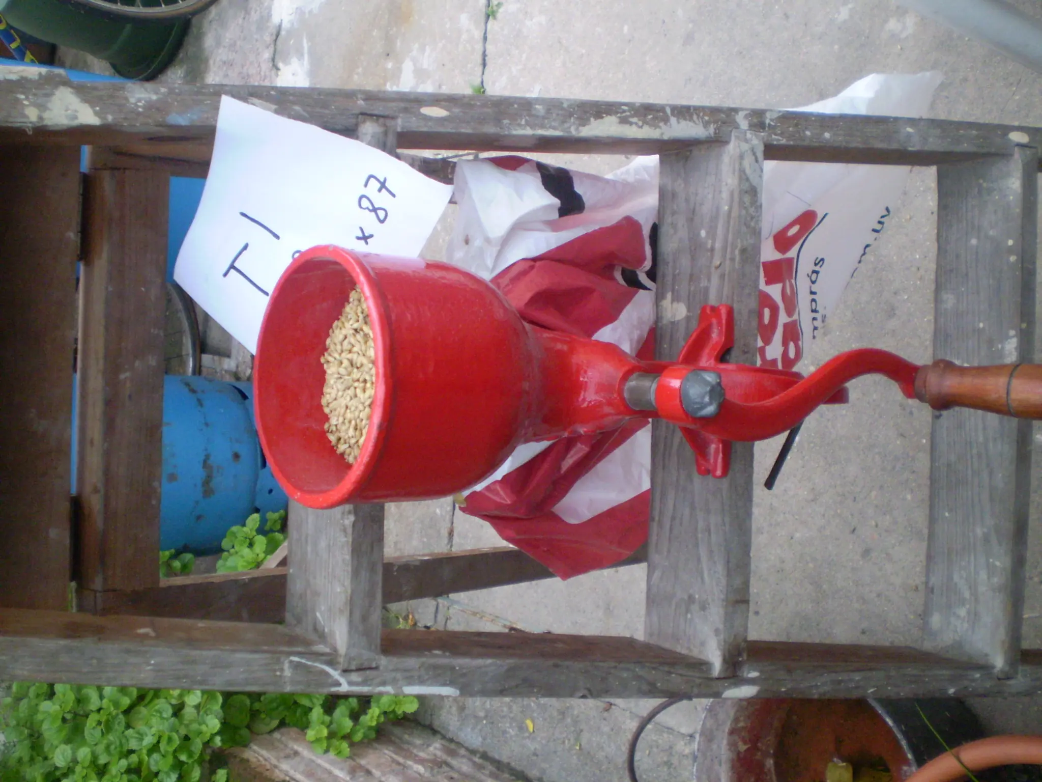 Hice cerveza casera y te lo muestro!