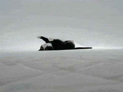 muchisisisimos gifs,fail,freak y mas de todo un poco